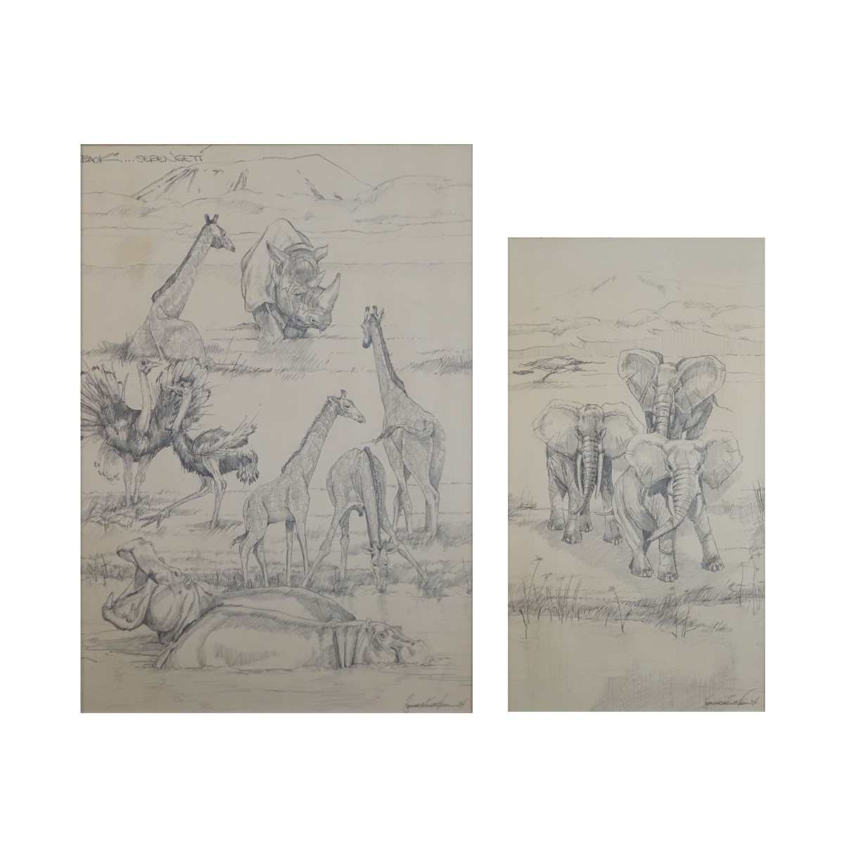 Higginbotham Wildlife Pencil Drawings '84