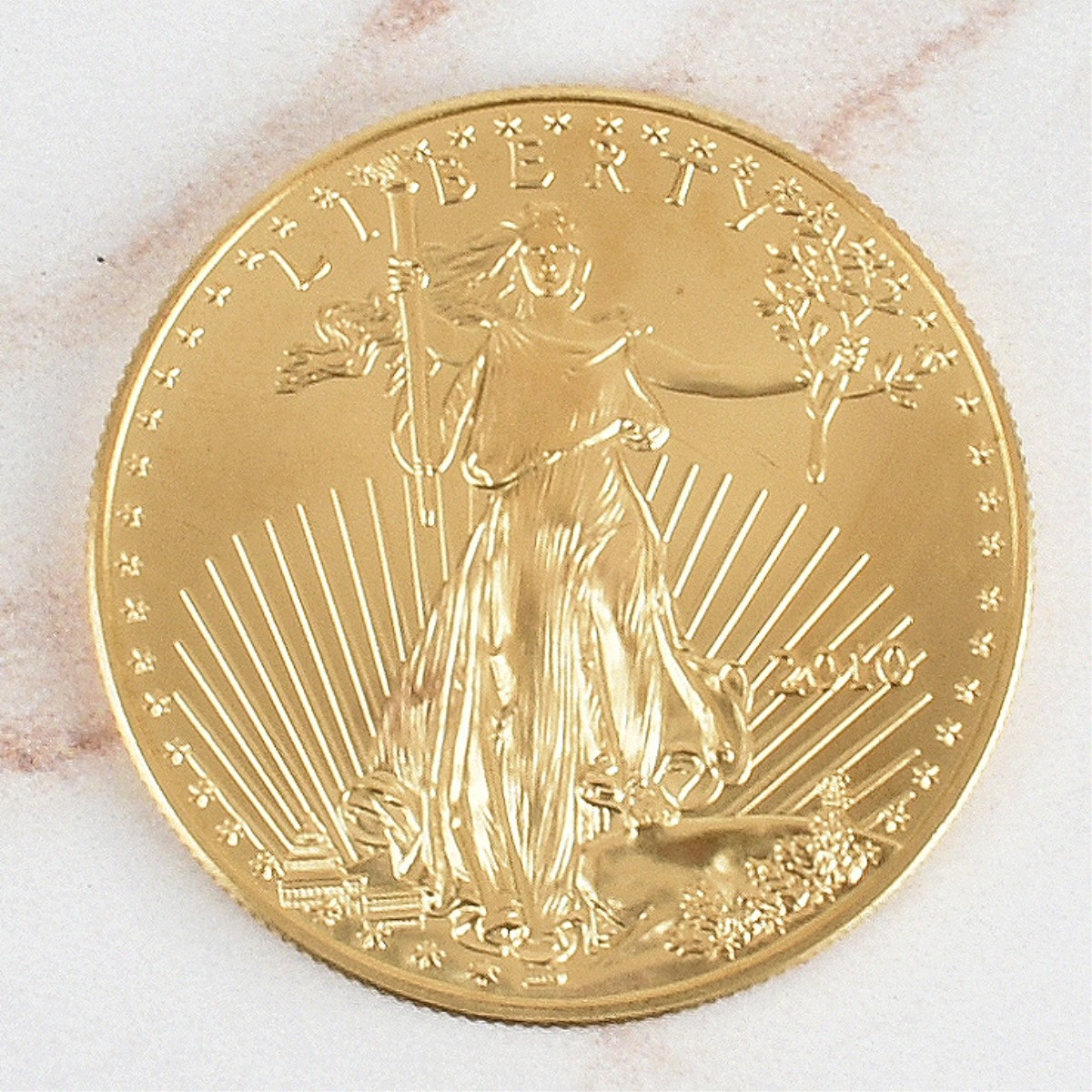 2010 US $50 Gold Eagle Coin