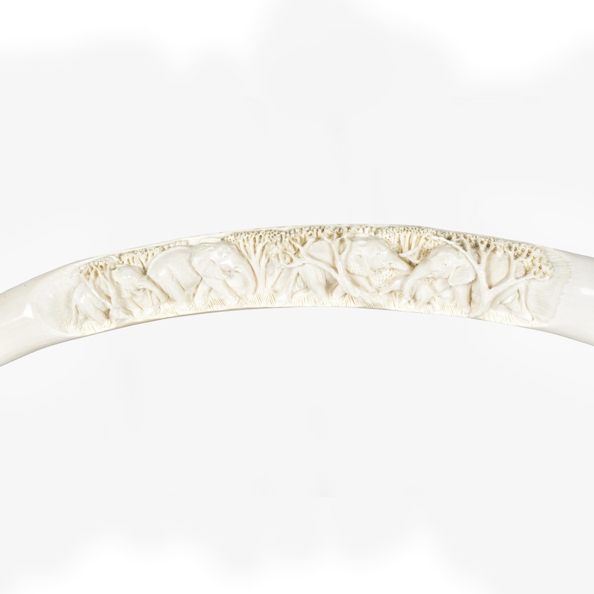 Large African Deep Relief Tusk
