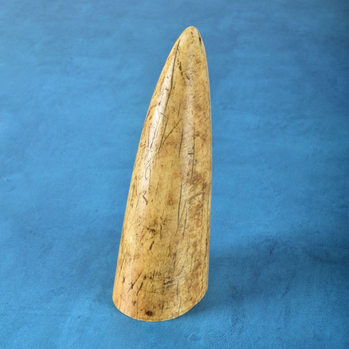 Antique Chinese Tusk Fragment