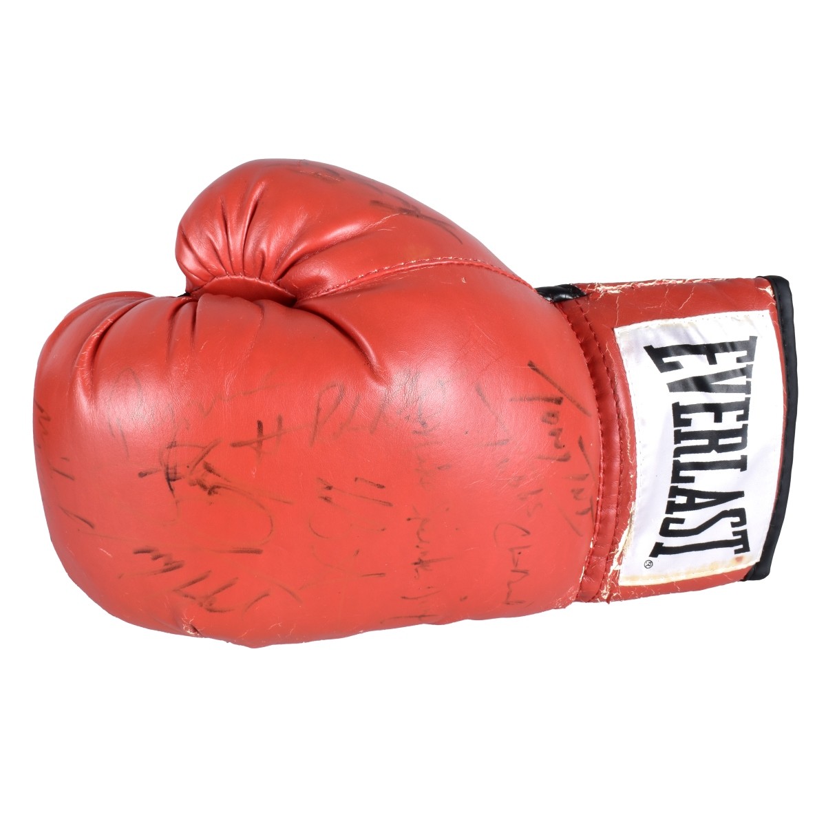 Autographed Everlast Boxing Gloves