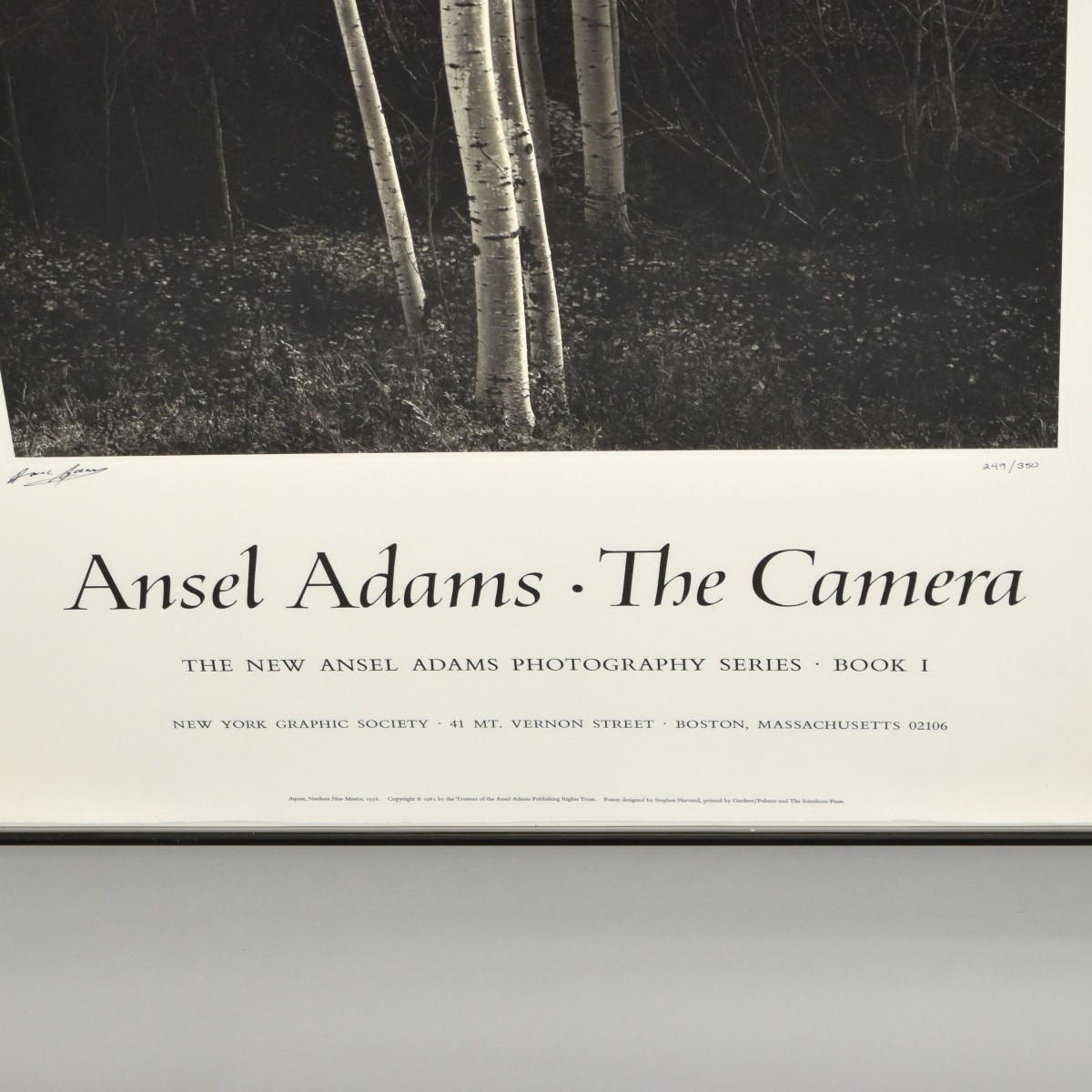 Ansel Adams, American (1902-1984)
