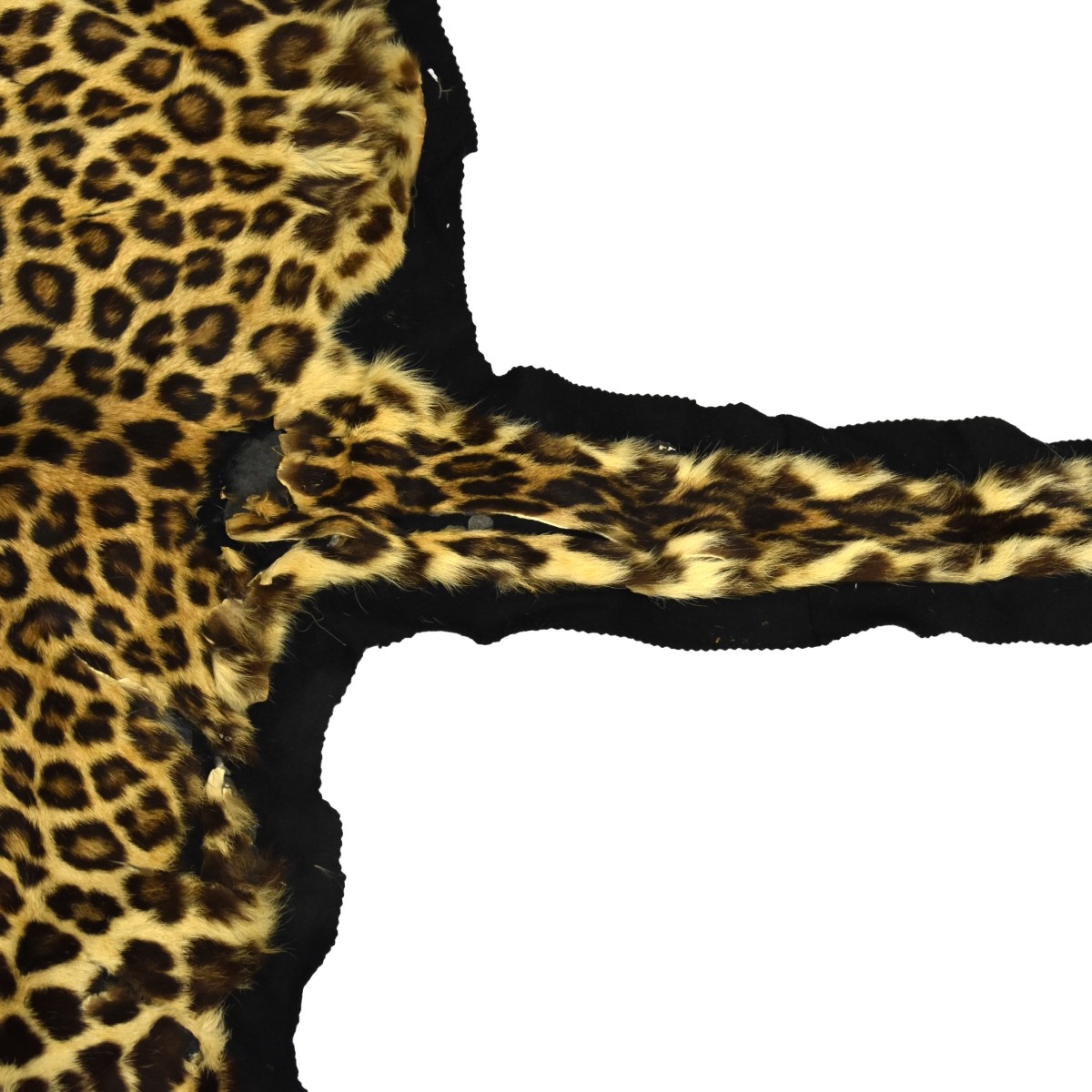 Vintage Leopard Taxidermy Rug