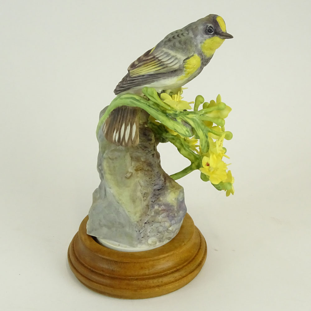 Dorothy Doughty Royal Doulton Porcelain Bird Group "Audubon Warbler and Palo Verdi". 
