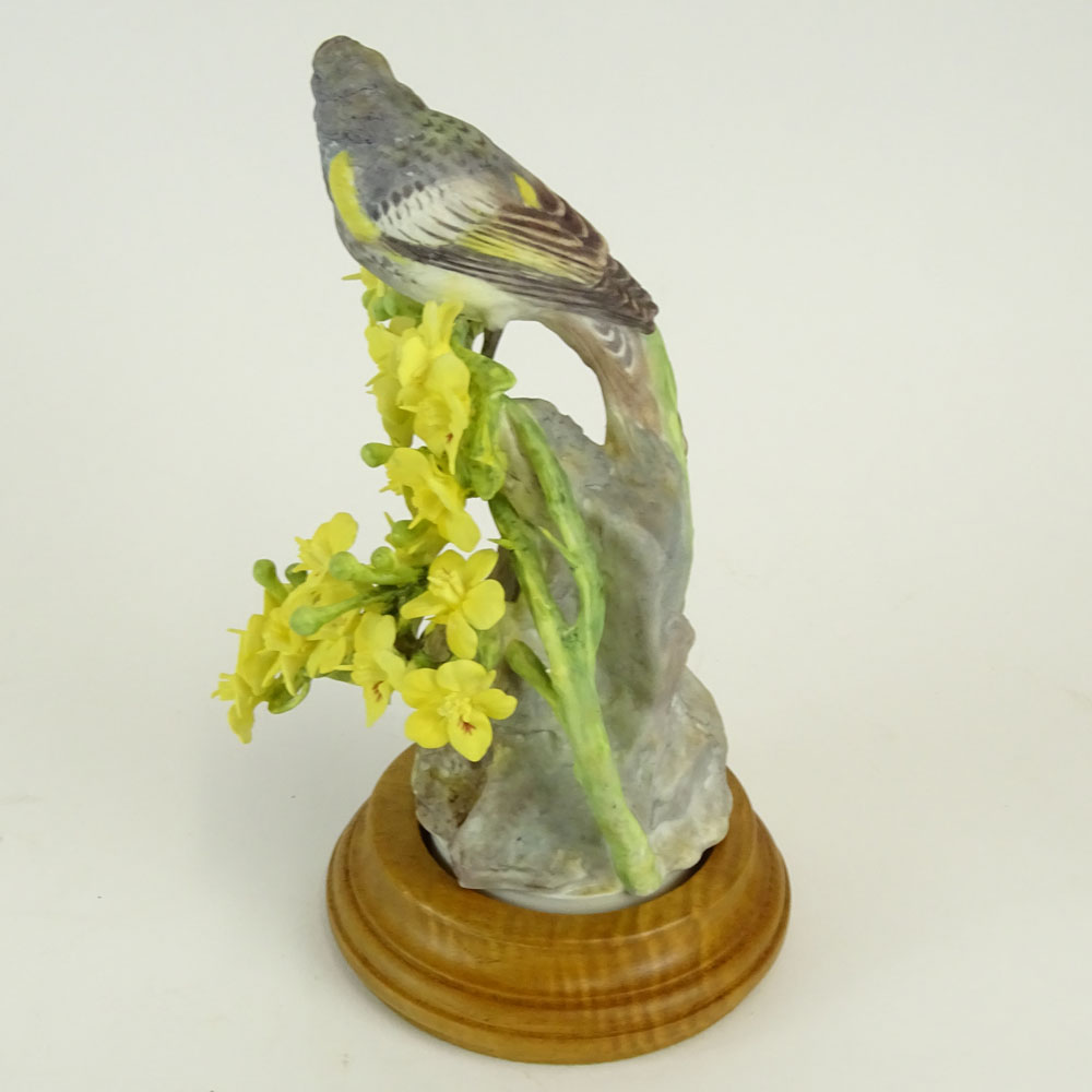 Dorothy Doughty Royal Doulton Porcelain Bird Group "Audubon Warbler and Palo Verdi". 