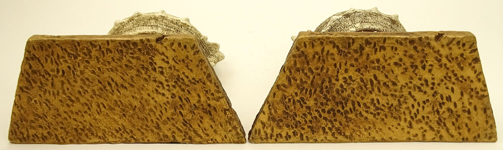 Pair of 20th Century Composite Shell Wall Brackets