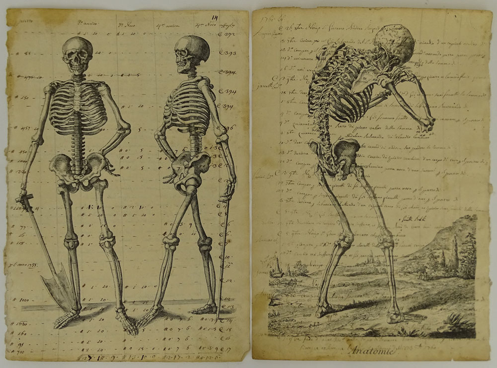 Two Antique Italian Etchings printed on 18th C Italian manuscripts "Anatomie". 