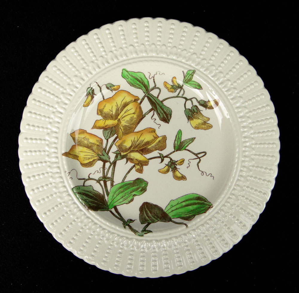 Twelve (12) Royal Cauldon, England Ceramic Dinner Plates in a Flower Series