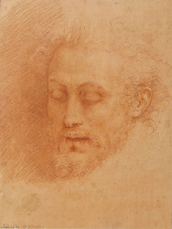 After Leonardo da Vinci, Italian (1452-1519) Sanguine drawing on card/thick paper