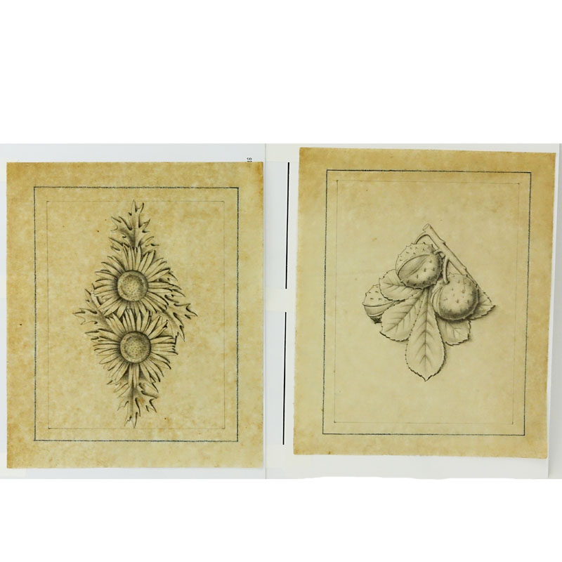 Two (2) 17/18th Century Old Master Pencil and Chalk On Vellum Drawings. "Marroni" and "Cardi". 