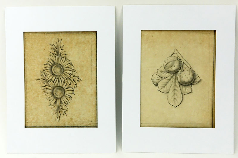 Two (2) 17/18th Century Old Master Pencil and Chalk On Vellum Drawings. "Marroni" and "Cardi". 