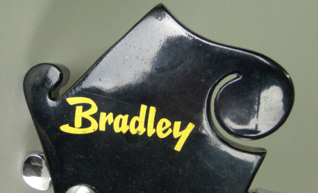 Modern Bradley Mandolin with Case.