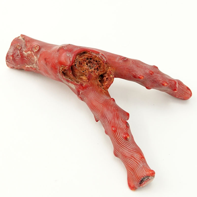 Red Coral with Two Branches. Natural wear.
