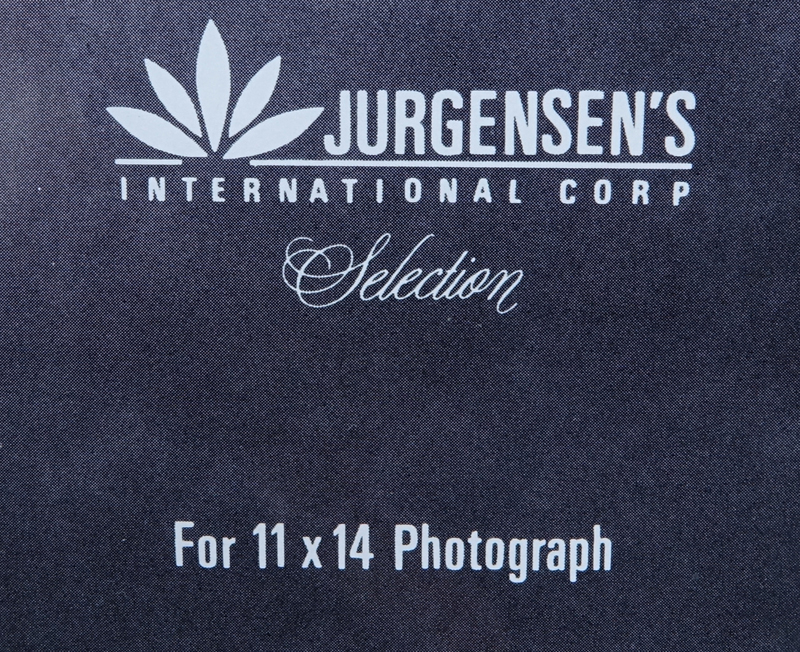Large Jurgensen's Mother Of Pearl Picture Frame.