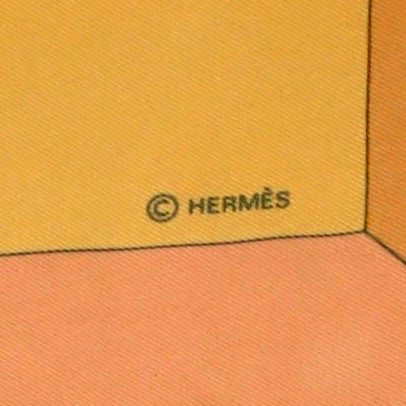 Hermès "Sauvagine En Vol" Silk Scarf in Frame.