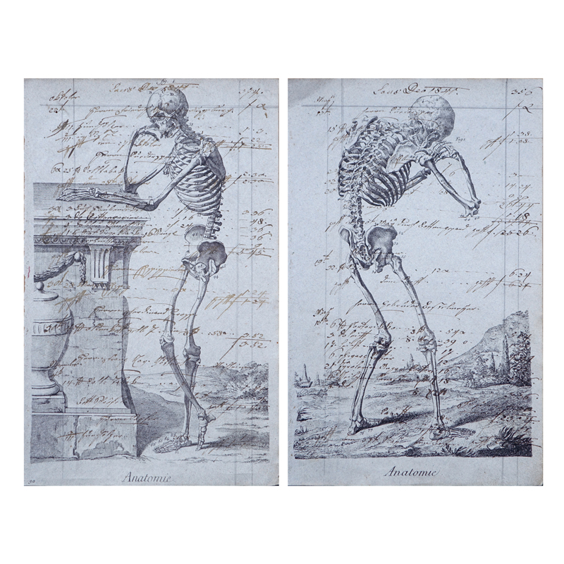 Two (2) 19th Century Manuscript Pages With Later Engravings "Skeleton". 