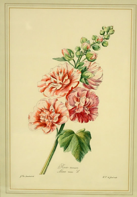 Two (2) After: Gérard van Spaendonck, French (1746 - 1822) Hand Coloured Botanical Engravings. 