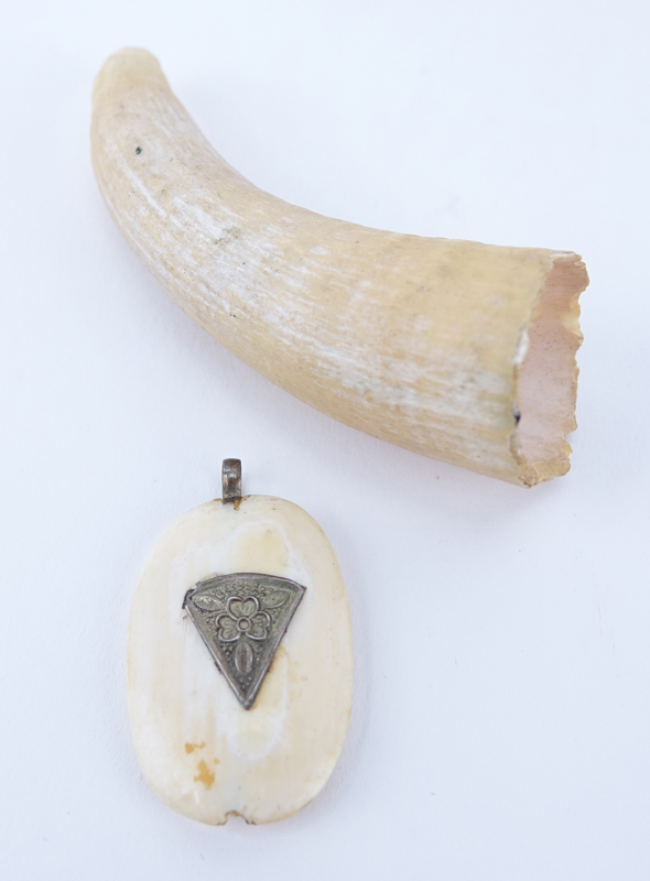 Collection of Six (6) Scrimshaw, Tooth and Bone Objects. Includes 2 figural boxes, 2 whales teeth, letter opened and pendant. 