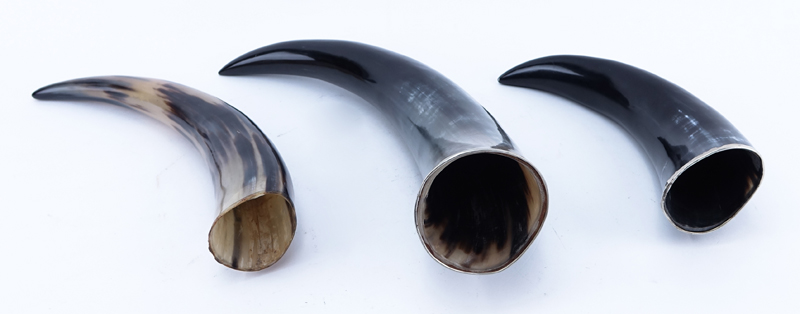 Set of Three (3) Decorative Polished Horns