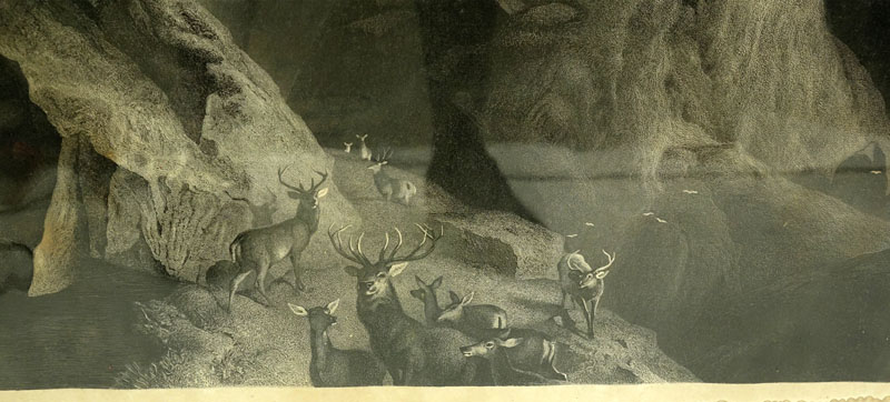 Large Antique Continental Etching "Mountain Bucks" 