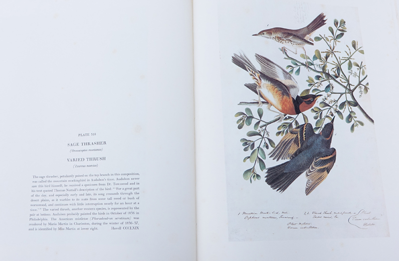 The Original Water-Color Paintings by John James Audubon