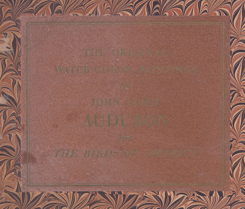 The Original Water-Color Paintings by John James Audubon