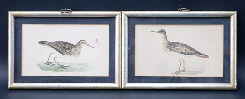 Collection of Eight (8) Vintage Framed Bird Prints
