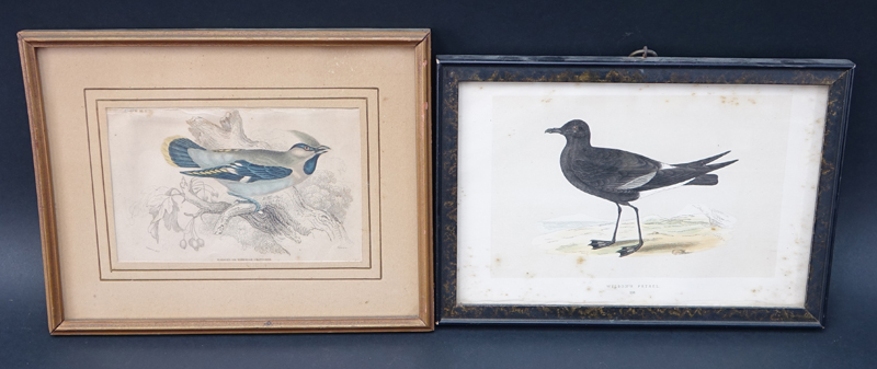 Collection of Eight (8) Vintage Framed Bird Prints