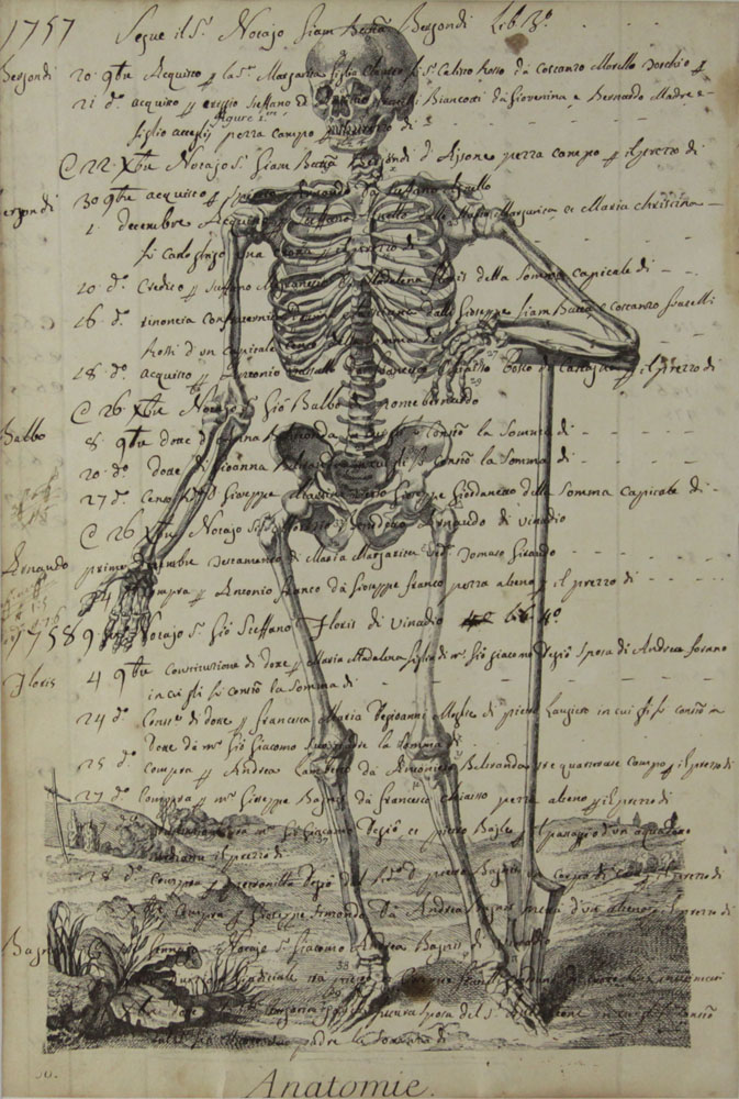 Two Pages from Circa 1757 Italian Book on Anatomy. Unsigned.