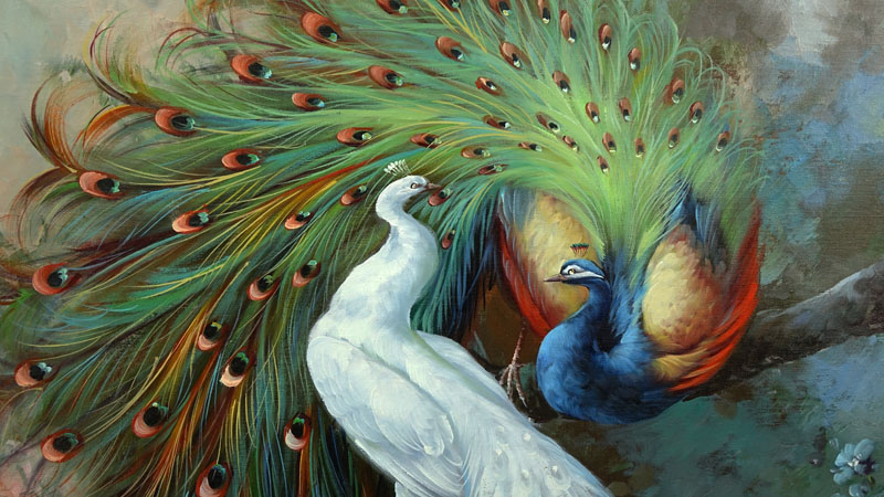 Large Modern Oil on Canvas, Peacock Birds, Signed Lower Left. 