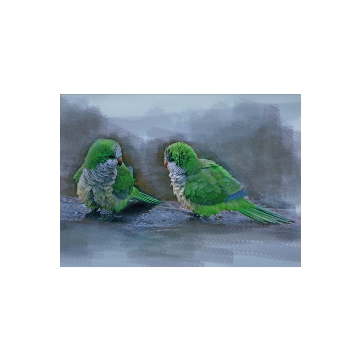 Alice Greko (20th C.) Photo and Digital Paintbrush "Florida Parrots" Signed and Numbered 3/40 in Pencil. Good condition.