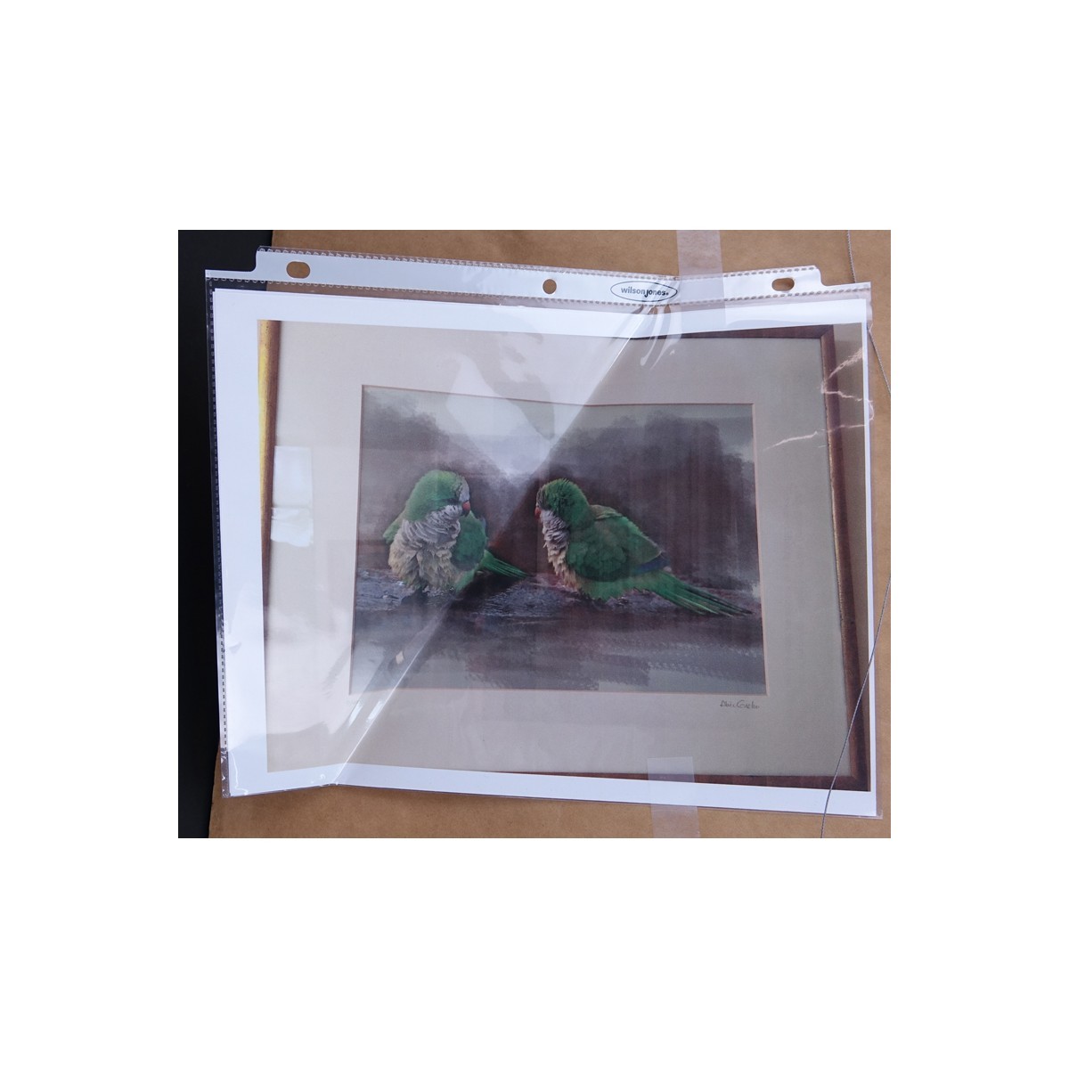 Alice Greko (20th C.) Photo and Digital Paintbrush "Florida Parrots" Signed and Numbered 3/40 in Pencil. Good condition.