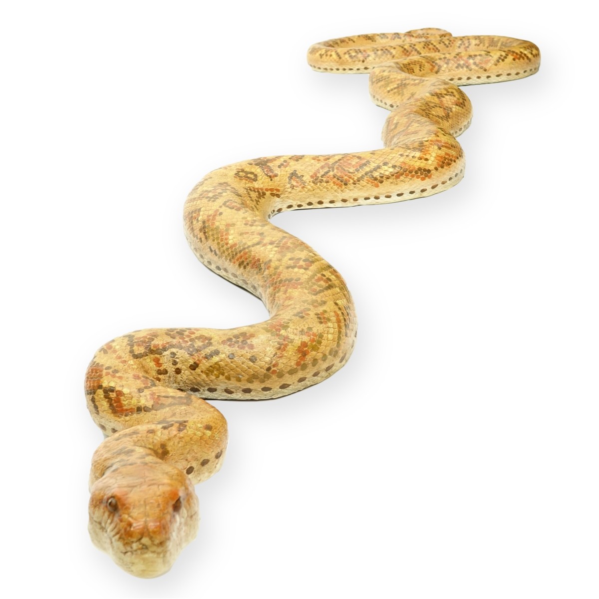 Large Composition Snake
