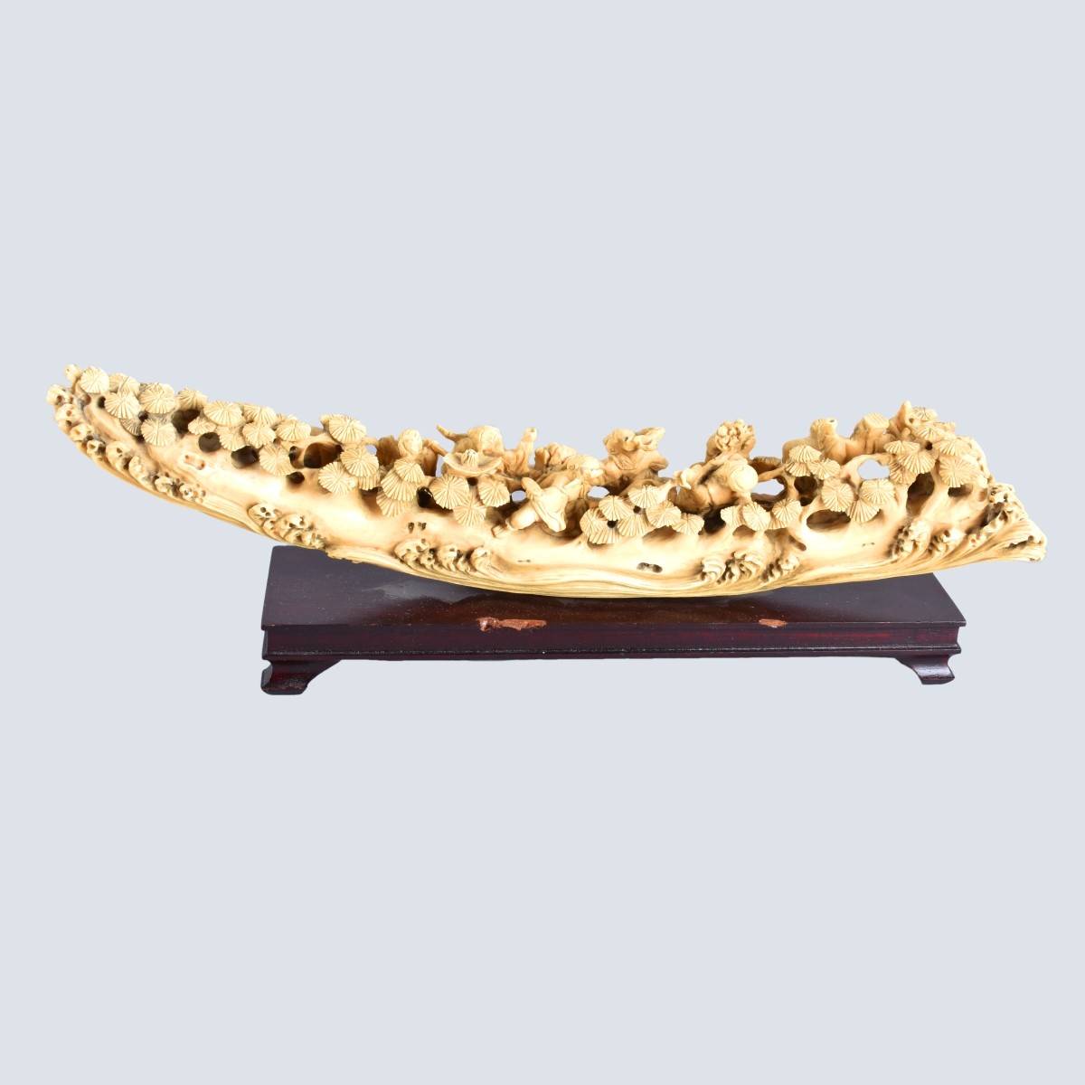 Chinese Ivory Tusk