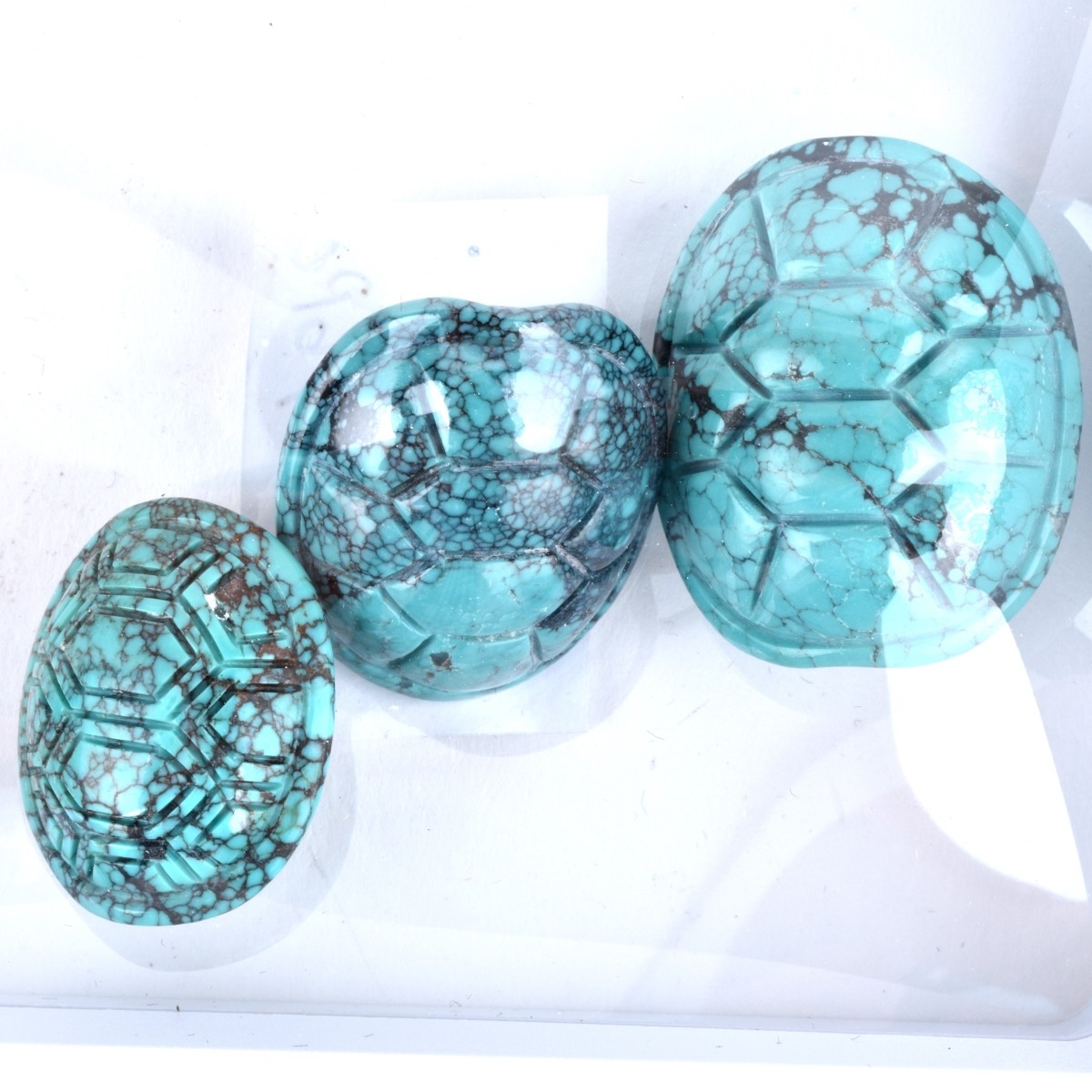 Lot of Carved Turquoise Cabochons