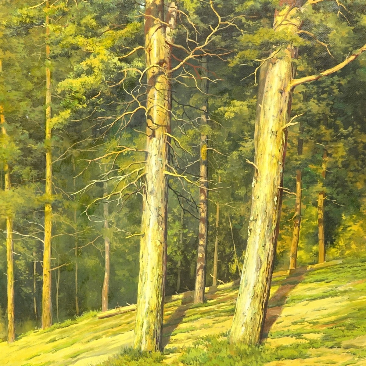 D. Abrosimov, Russian (20C) O/C Forest Landscape