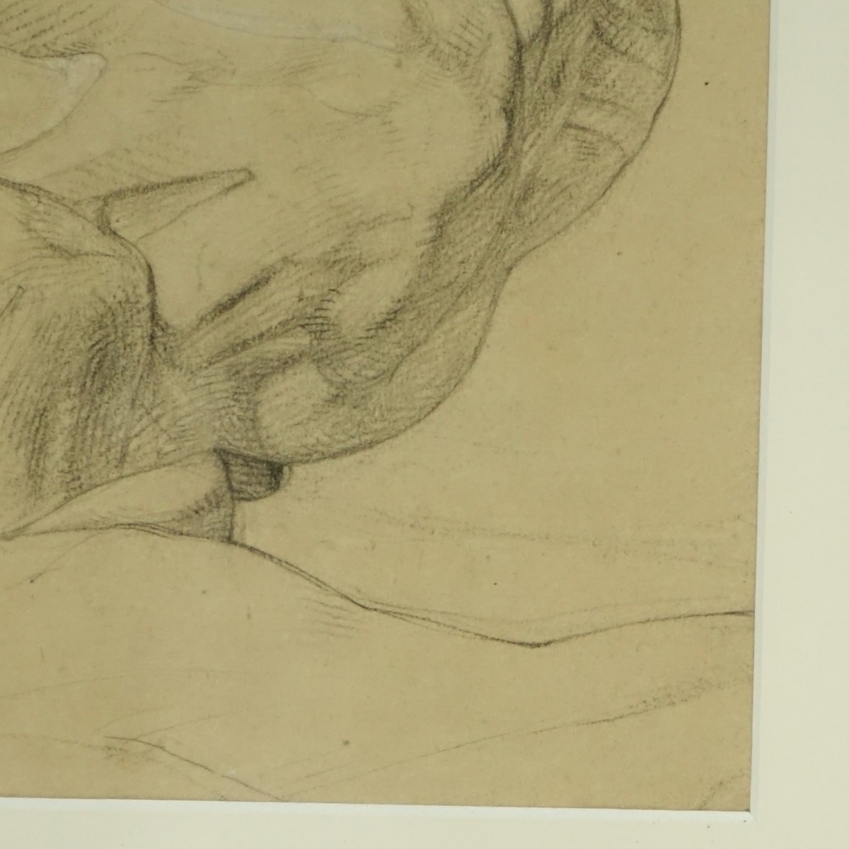Pencil Sketch Anatomical Man's Head