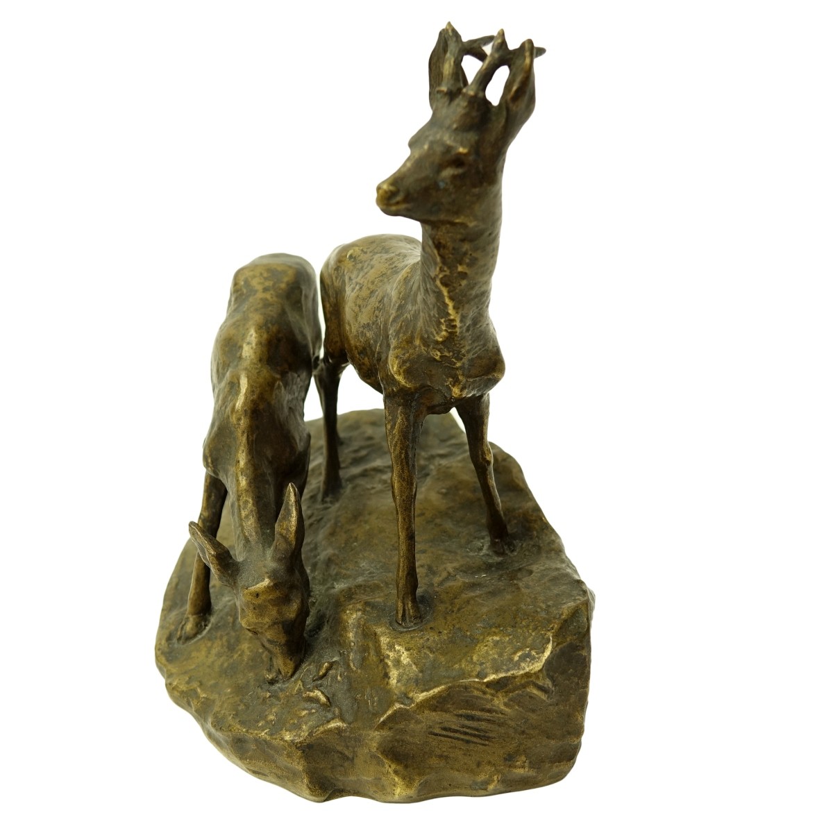 Muller Bronze Sculpture Young Deer