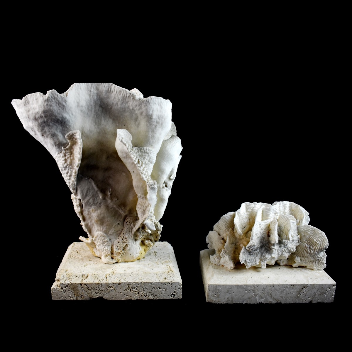 Two Natural Mounted Coral Fossil Sculptures