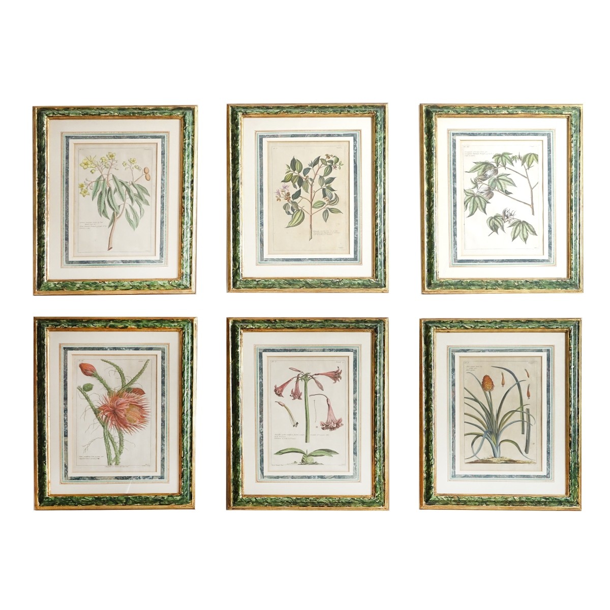 Six (6) Antique Hand Colored Botanical Engravings