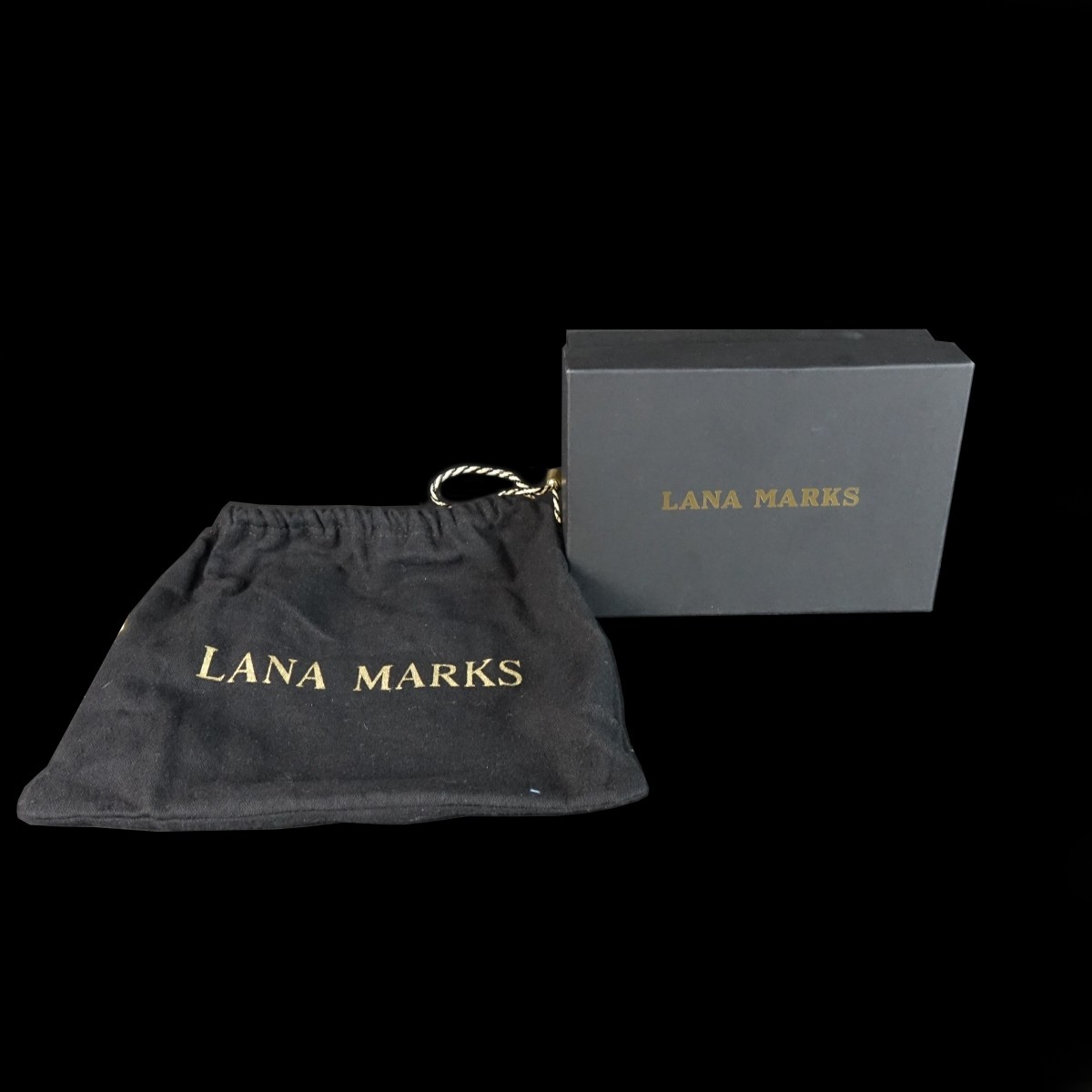 Lana Marks Ostrich Leather Chain Bag