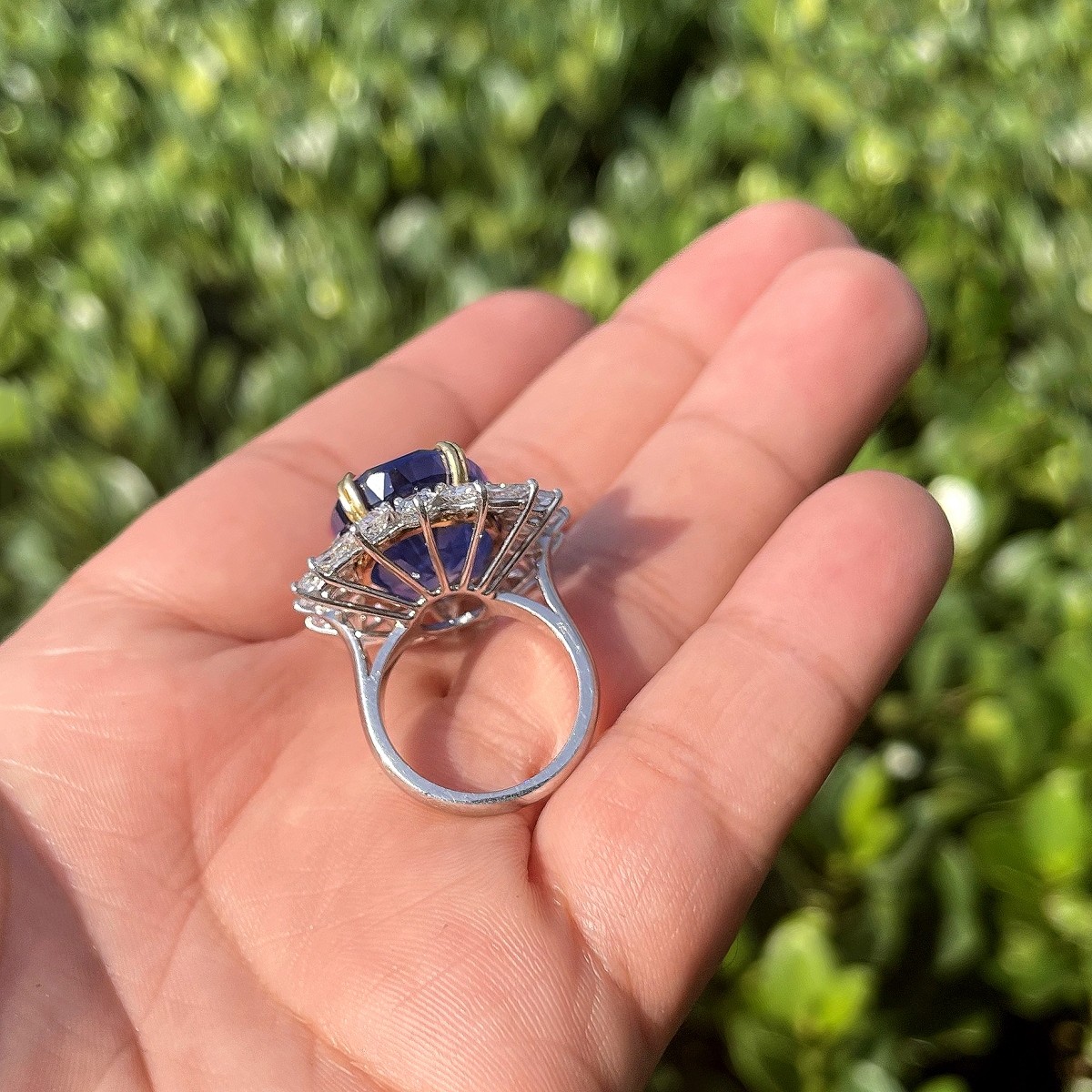 GIA / AGL 33.64 Ceylon Sapphire Ring