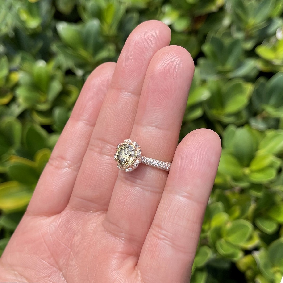 Fancy Diamond and 14K Ring
