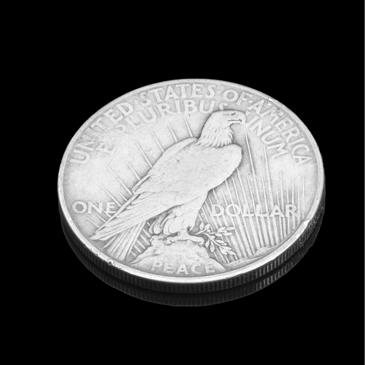 Fourteen U.S. Silver Peace Dollars