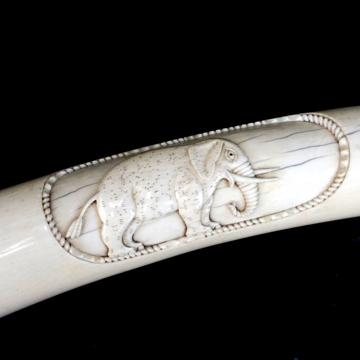 Lg African Carved Tusk