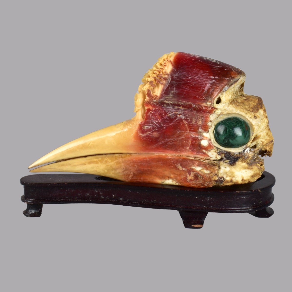 Antique Chinese Carved Hornbill Skull