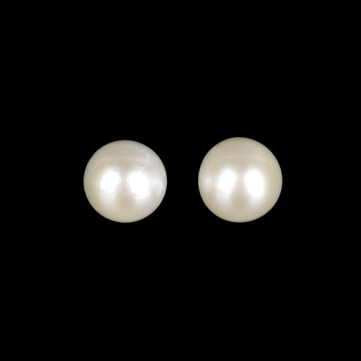 South Sea Pearl Ear Studs