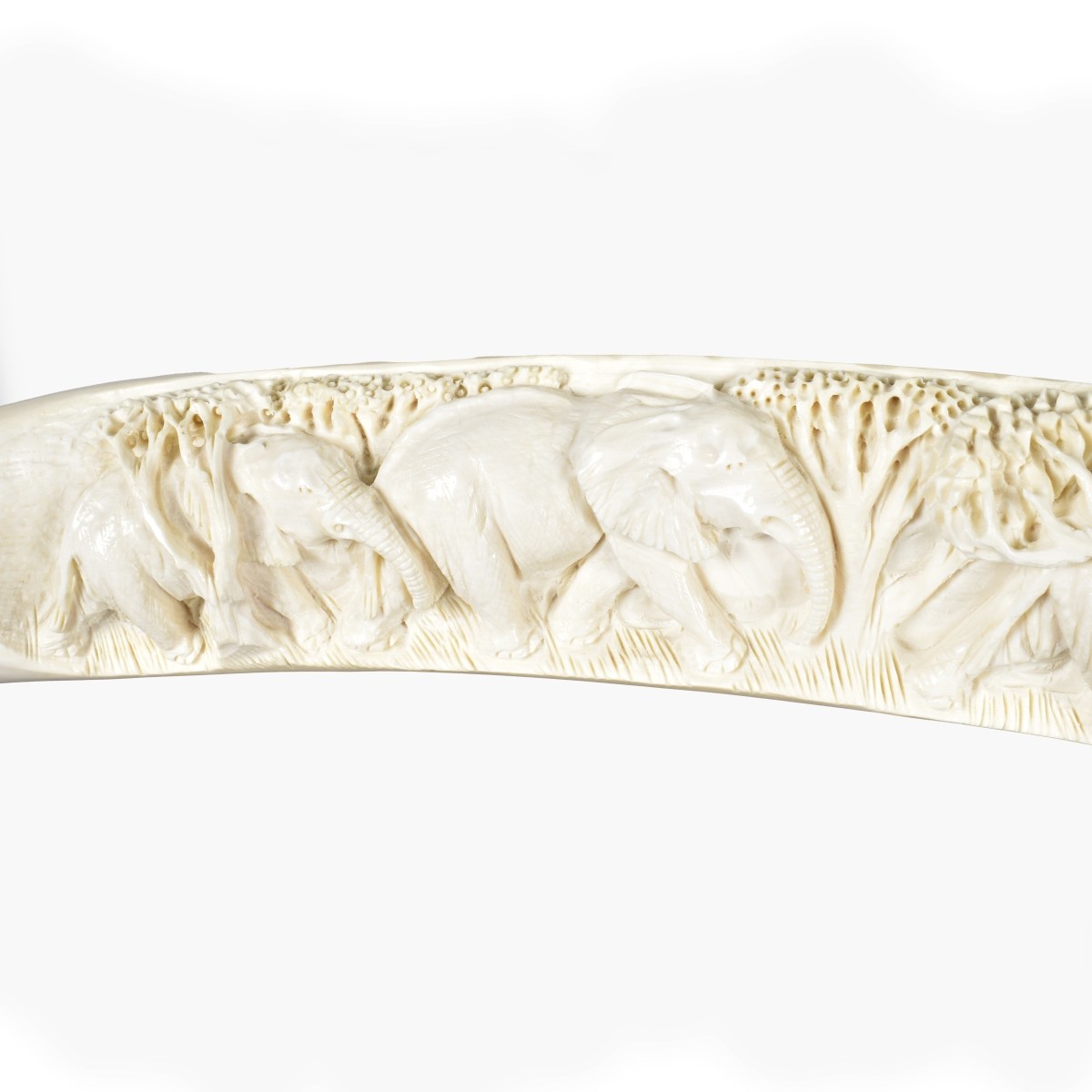 Large African Deep Relief Tusk