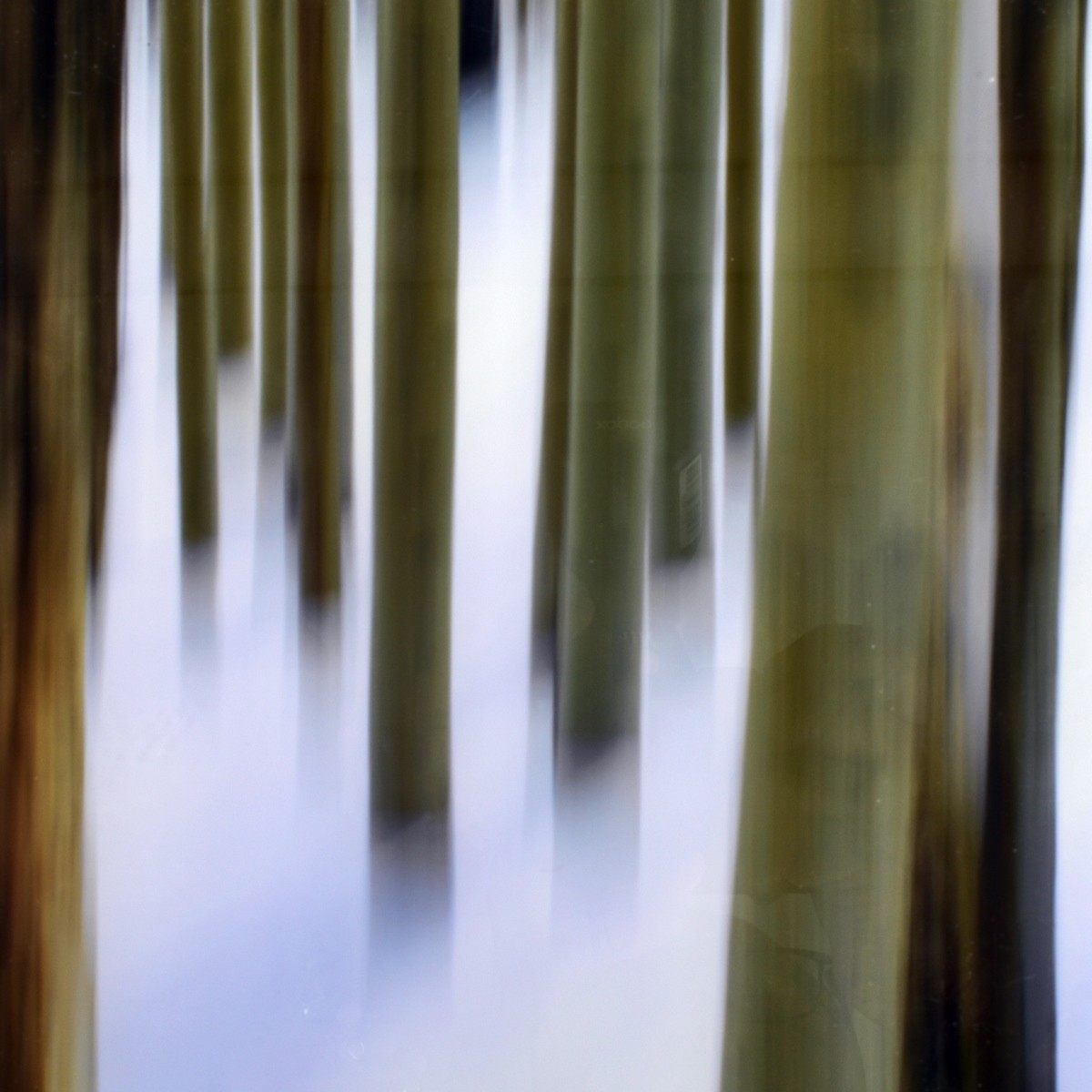 Peter Lik (Australian 1959 -) Blur