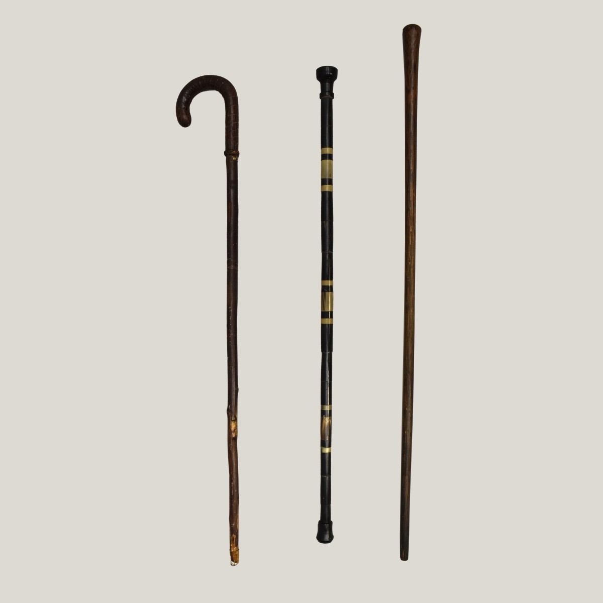 Three Walking Sticks